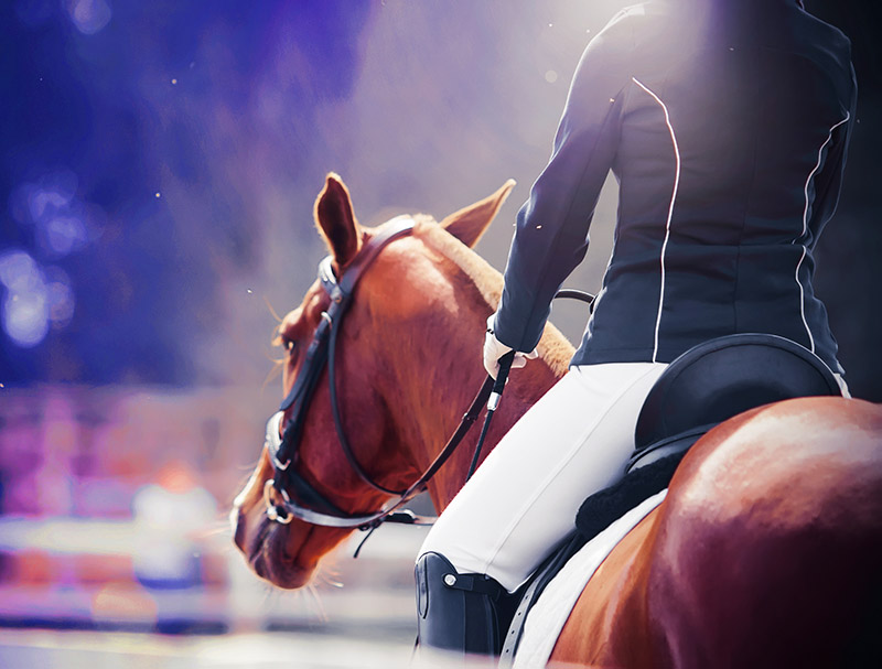 A rear view of a sorrel horse with a rider in the saddle, pacing