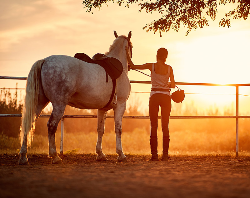 Female horse rider in a company of her horse